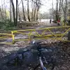 dav