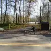 sdr