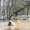 dig