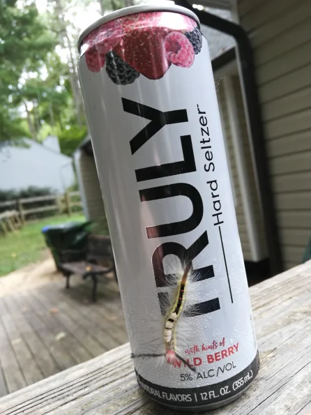dav
