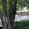 dig