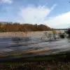 dav