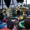 dig