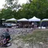 dav