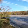 dav