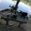 sdr