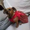 dav