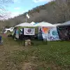 dav