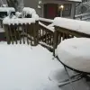 dav