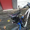 dav