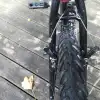 dav