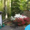 IMG_20160417_182434