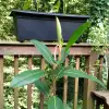IMG_20160717_165415