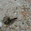 IMG_20160806_170746