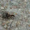 IMG_20160806_170754