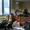 IMG_20151218_101357