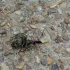 IMG_20160806_170749