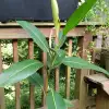 IMG_20160717_165423