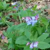 IMG_20160324_175531