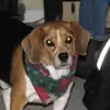 IMG_2025_1