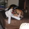 skip_5_26_2007