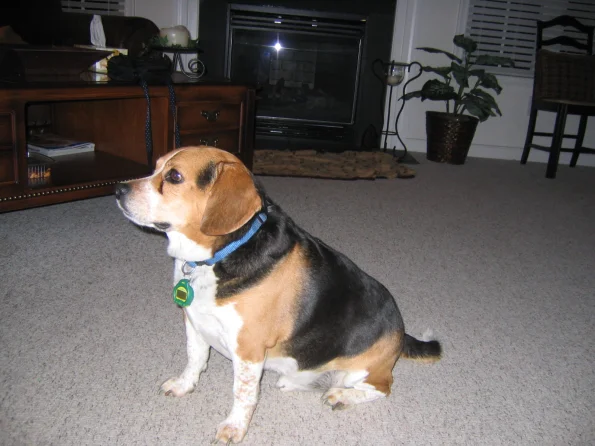 skip_4_19_2006