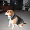 skip_4_19_2006