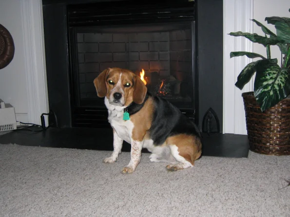 Picture 002