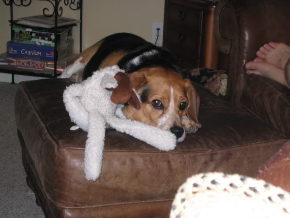 skip_5_26_2007