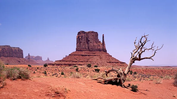 desert scene