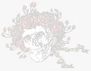 skullx