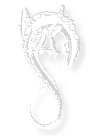lizard_bg