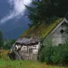 Shed in Field