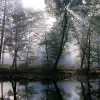Smokey Light