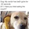 dog-911-sm